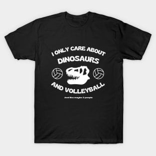 Dinosaurs And Volleyball T-Shirt